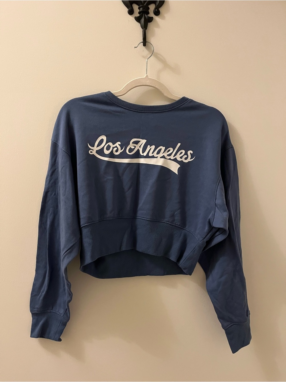 H&M Los Angeles Graphic Cropped Sweatshirt